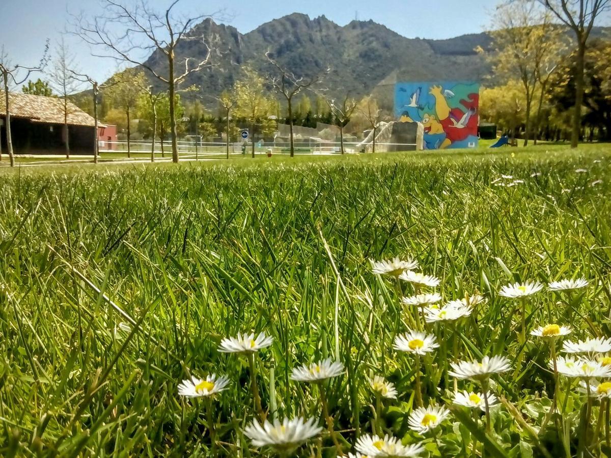 Camping Iratxe Ciudad De Vacaciones 에이귀 외부 사진
